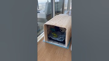 *SATISFYING* PUPPY CRATE SET-UP! #restock #puppy #dog #pet #dogcare #dogcrate #amazonstorefront