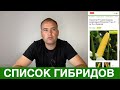 Какие гибриды рекомендует АгроДвиж до 10 июля посеять