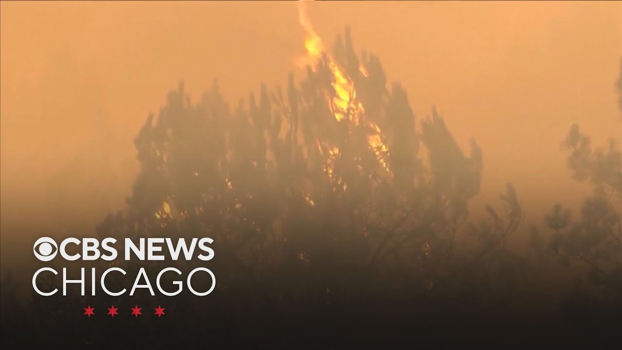 Wildfires force mass evacuations in France