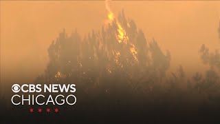 Wildfires force mass evacuations in France