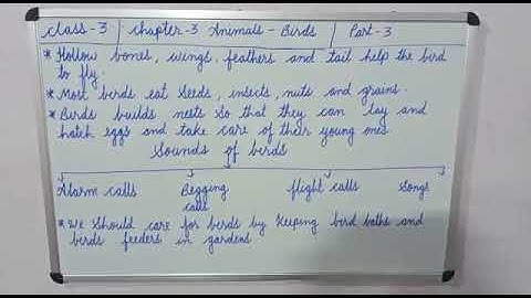 Class - 3  !  Science  !  Chapter - 3  !  Part - 3