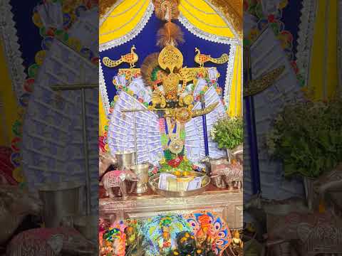 #khatuwalekasahara #jaishreeshyam #khatuwalashyam #minivlog #shortvideo #khatushyamsarkar #live 🌹♥️