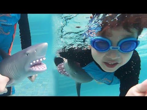 뉴욕이의 상어가 나타났다! 상어송 어린이 인기 동요 아기 상어 뉴욕이랑 놀자 The Shark Song Baby Shark Nursery Rhymes for Kids NY Toys