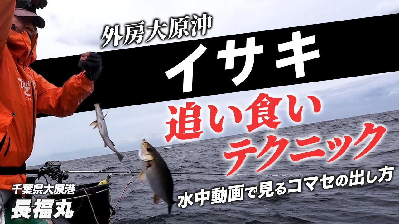 【イサキ釣り】2025年大原イサキ開幕！NEWタックルで定量（50匹）達成なるか！？水中映像有り。