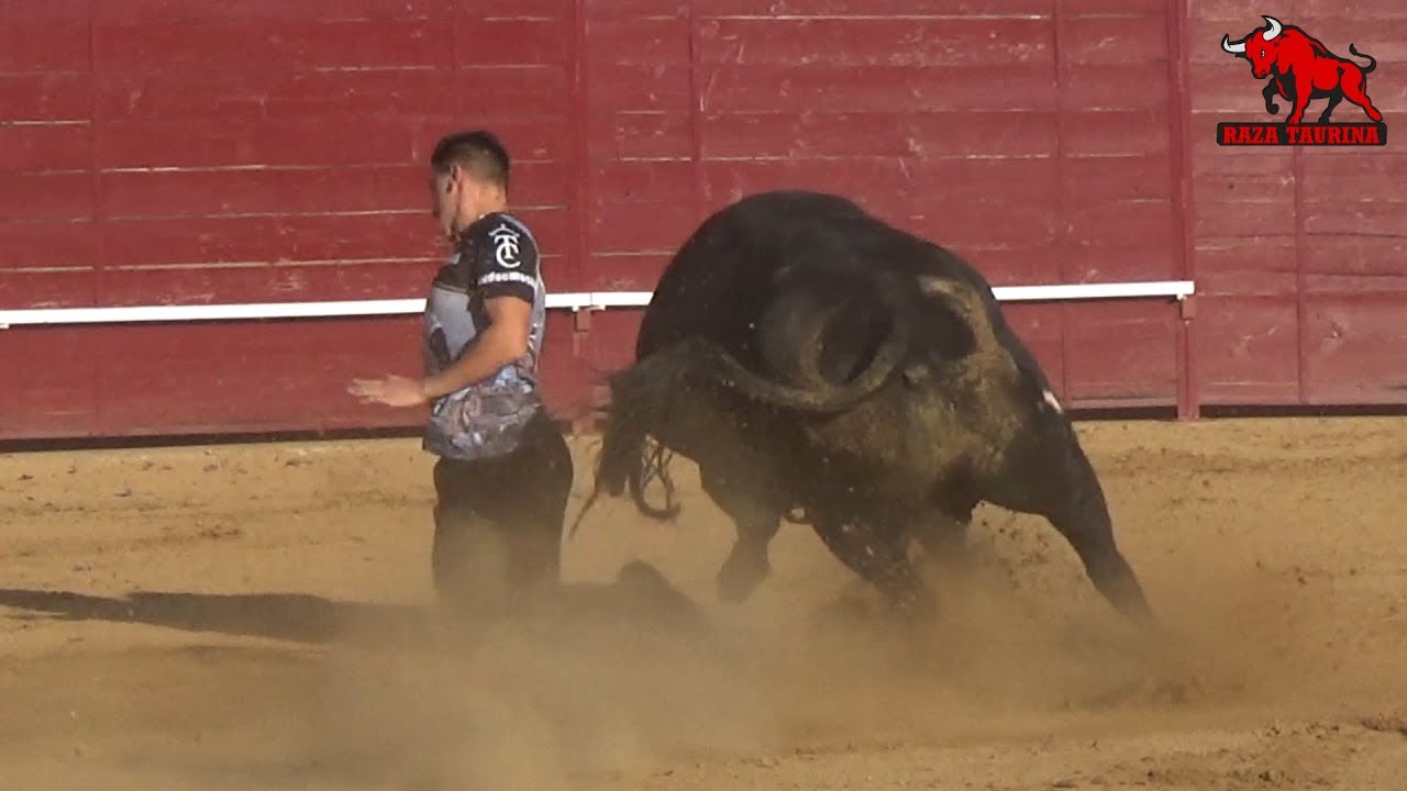 Quinta fase Castellano de Oro. Zamorano de Oro. Villalpando. 14 Agosto 2019