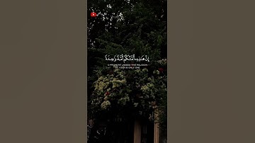 تلاوة خاشعة ومؤثرة القارى إسلام صبحي 🎧❤️‍🩹 #أرح_سمعك_وقلبك #اكسبلور #طمئن_قلبك #اسلام_صبحي