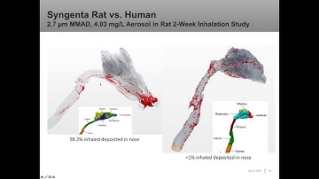 Computational Fluid Dynamics (CFD): Modeling the Respiratory System for Comparative Dosimetry