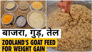 Weight Gain Formula For Goats | Zooland Jodhpur's Goat Feed बकरो का वज़न बढ़ाने के लिए खाना