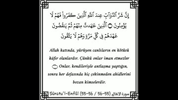 سورة الانفال | إنَّ شرَّ الداوبِ عند اللهِ الذينَ كفروا فهم لا يُؤمنون | ياسر الدوسري