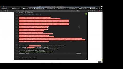 Salt Formulas Working Group 2020-08-25