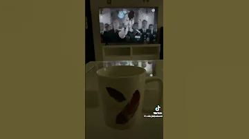 واحنا اللي قلنا اللي بيقتل شعبو خاين يكون من كاين مسلسل أبتسم أيها الجنرال مكسيم خليل 