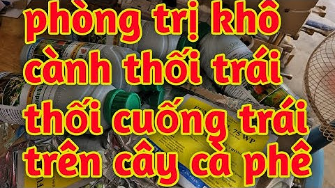 thuốc phòng trị bệnh khô cành thối trái và thối thối trái thán thư trên cây cà phê 023 2910