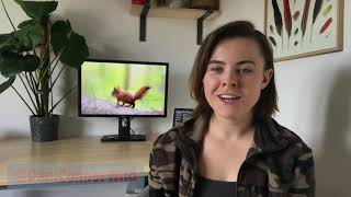 Dani Connor  How a baby squirrel inspired the world