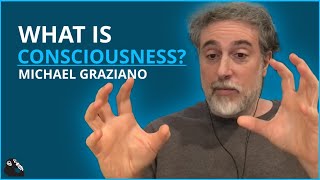 Famous #39 - Consciousness and the Social Brain - Michael Graziano Wealth