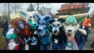 Fursuit Masopust Outing 2020