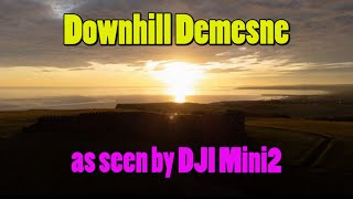 Downhill Demesne by Drone