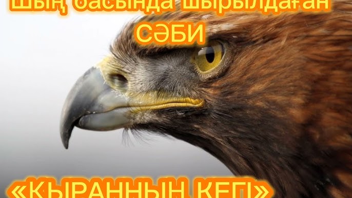 Қынап шырыны бетке ағады Қынап шырыны бетке ағады