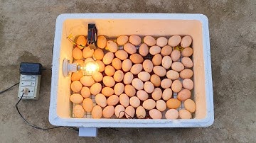 100 egg capacity incubator || how to make incubator || egg hatching