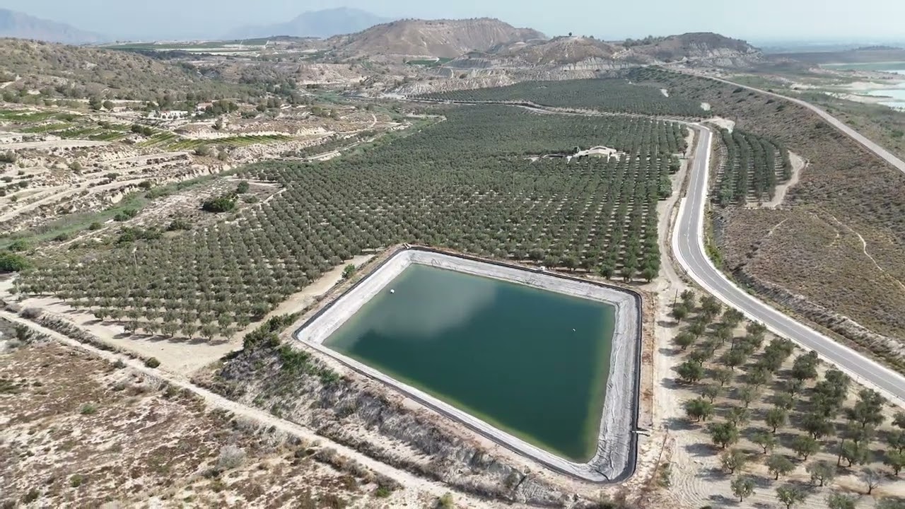En venta Olivar con almazara certificado Ecológico en Murcia