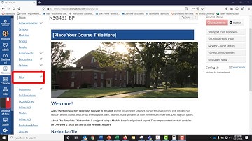 Clean up Canvas Files