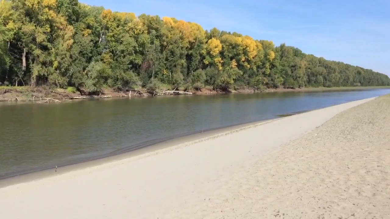 Купить Дом В С Малышево Хабаровский Край