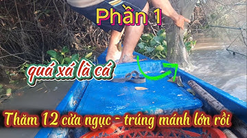 Trúng Mánh Lớn Khi Thăm 12 Cửa Ngục Ở Miền Tây - Nước Rút Trúng Cá Thấy Mê #batca #thailefishing