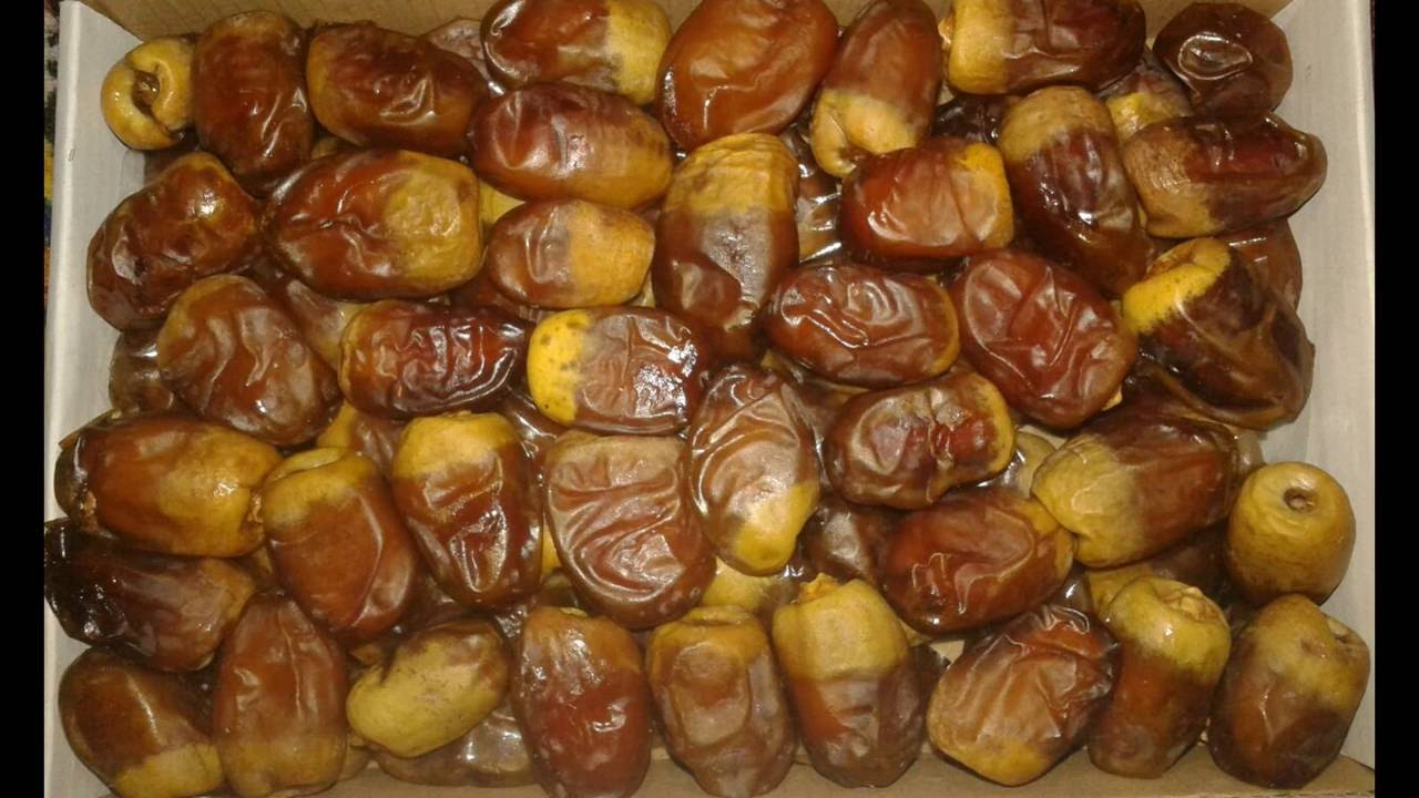 Egyptian date Egyptian date