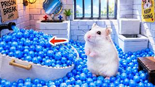 🐹 DIY Hamster Escapes the 5-Star Pool Prison [OBSTACLE COURSE]