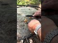Igniting Fat Wood With a Knife!