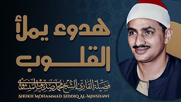 صوت ينسيك همومك | تلاوة تأسر القلوب | الشيخ محمد صديق المنشاوى