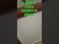 cámara de caca tengo por lanzar mi celular