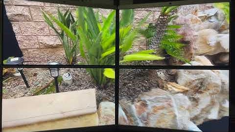 Gaussian Splatting with 4 displays