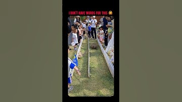 Childhood Story Just Came To Life 😮