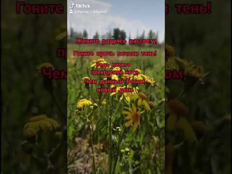Видеооткрытка 'с добрым утром' аффирмации. Законы Вселенной. Красивое видео для сторис в инстаграм