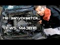 Оживляем необычную е34. EWS M43.