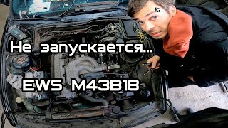 Оживляем необычную е34. EWS M43.