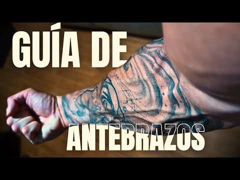 Rutina para Antebrazo. ANATOMÍA FUNCIONAL