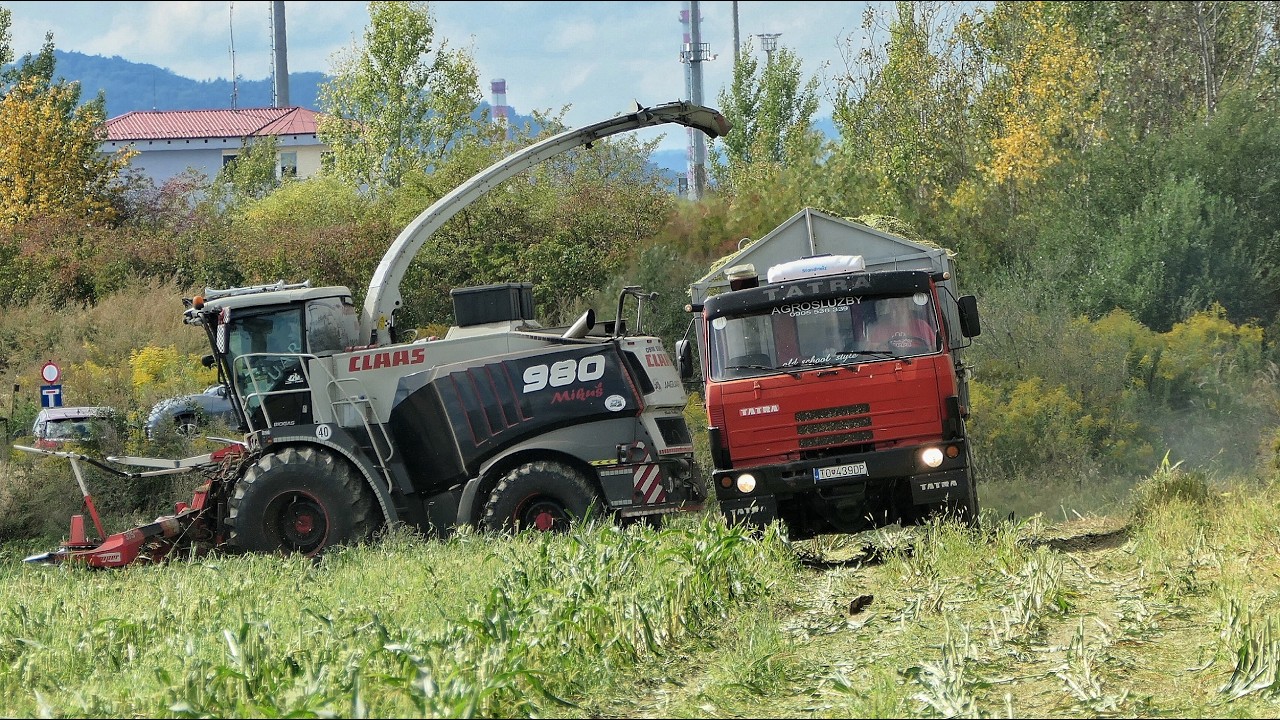 Влажный кукурузный силос 2025 Claas Jaguar 980, 5x Tatra 815 и John Deere 6R