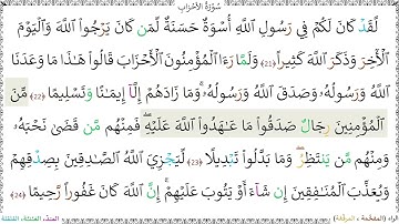 سورةُ الأحزابِ (21 - 24) - محمد صديق المنشاوي رحمه الله
