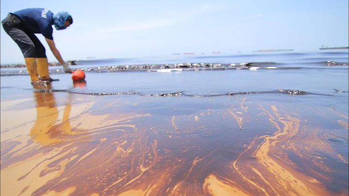 The cost-effective technology that can clean up oil spills - DayDayNews