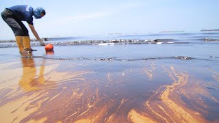 The cost-effective technology that can clean up oil spills