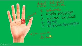 guru sthanam, palmistry,hasta samudrikam,chethi rekhalu, jyothishyam, astrology.