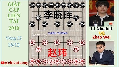 Thượng Hải - Triệu Vĩ (赵玮 ) Zhao Wei VS Li Xiaohui (李晓晖) Lý Hiểu Huy - Hà Nam | 赵玮 vs 李晓晖