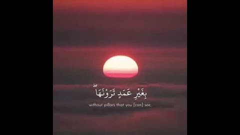 الله الذي رفع السماوات| القارئ #هزاع_البلوشي | حالات واتس اب اسلامية ، مقاطع قرآن للاستقرام ..