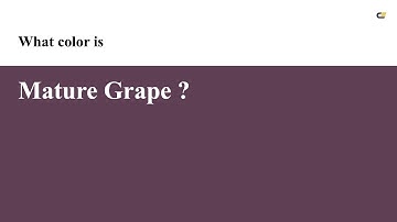 Mature Grape color #5f3f54 hex color - Violet color - Cool color 5f3f54