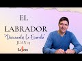 El labrador