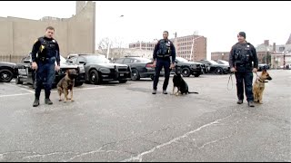 Vest donation - Bridgeport CT K9 Bronco video