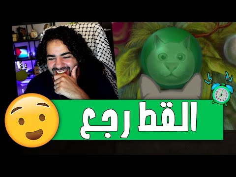 عودة القطة ميلو و هدية الكريسماس Milo And The Christmas Gift