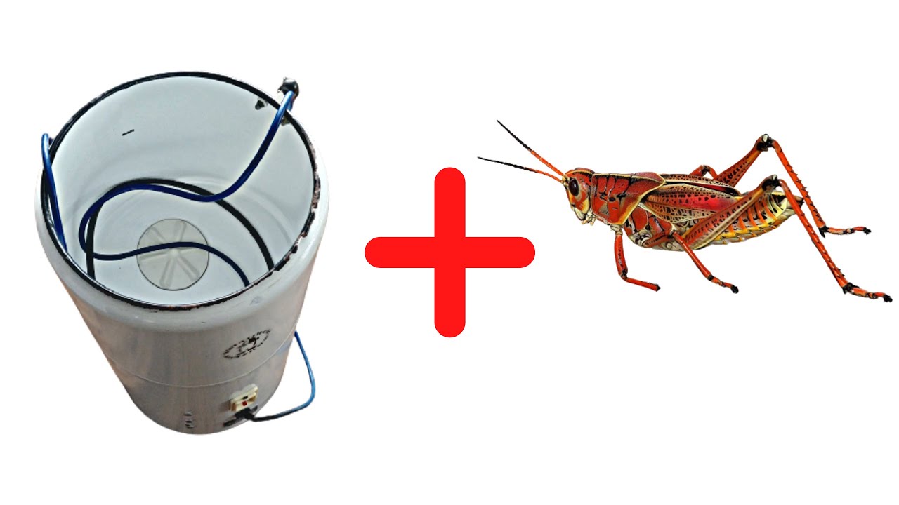 crickets sound sound + sound of washing machine white