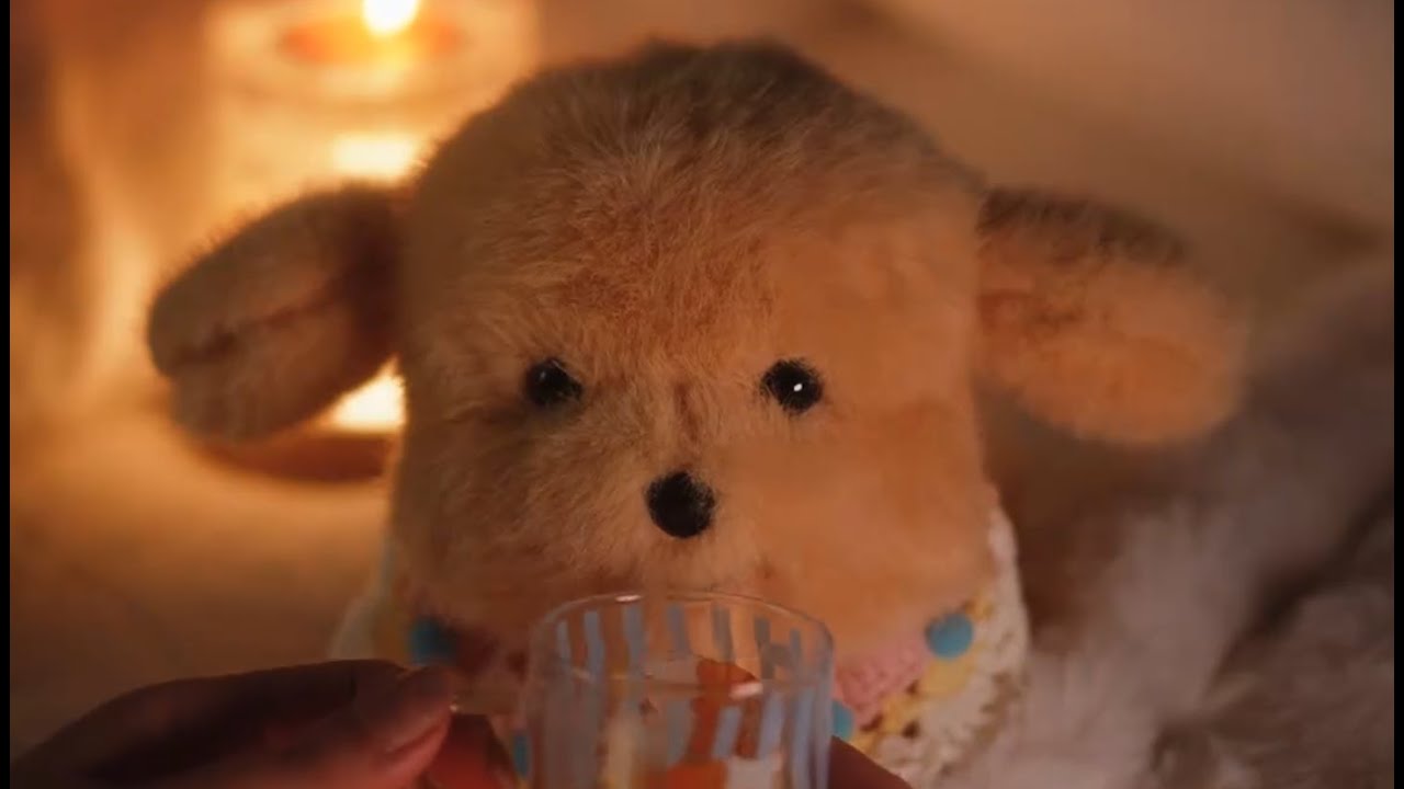 [ASMR] For Sleep! A Puppy Visits Your House At a Rainy Night